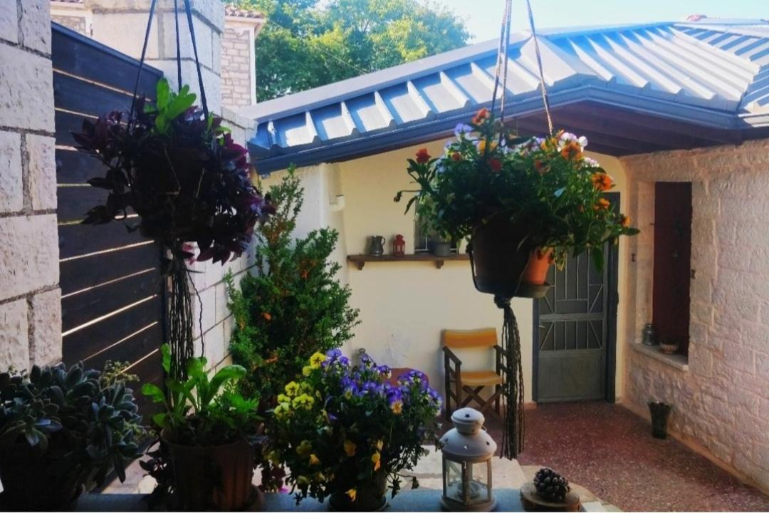 The Traditional Greek House يانينة المظهر الخارجي الصورة